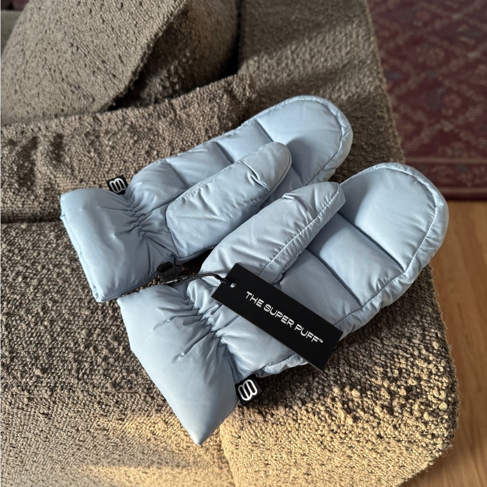Aritzia Light Blue Mittens